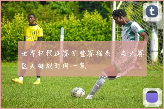 世界杯预选赛完整赛程表：各大赛区关键战时间一览