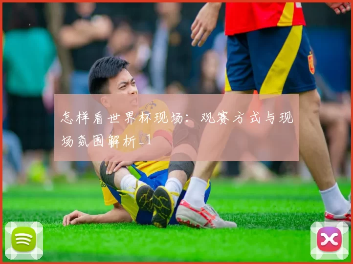 怎样看世界杯现场:观赛方式与现场氛围解析_1