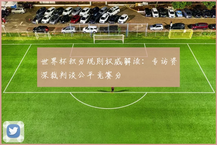 世界杯积分规则权威解读:专访资深裁判谈公平竞赛分