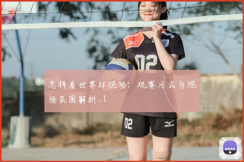 怎样看世界杯现场:观赛方式与现场氛围解析_1