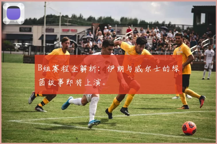 B组赛程全解析:伊朗与威尔士的绿茵故事即将上演。