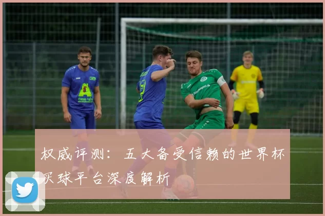 权威评测：五大备受信赖的世界杯买球平台深度解析