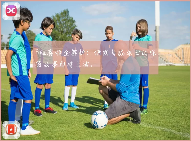 B组赛程全解析:伊朗与威尔士的绿茵故事即将上演。