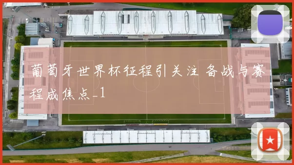 葡萄牙世界杯征程引关注 备战与赛程成焦点_1