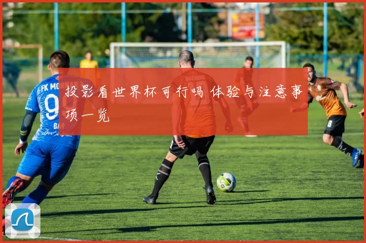 投影看世界杯可行吗 体验与注意事项一览
