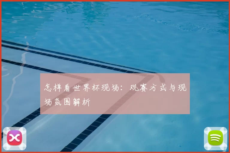 怎样看世界杯现场:观赛方式与现场氛围解析