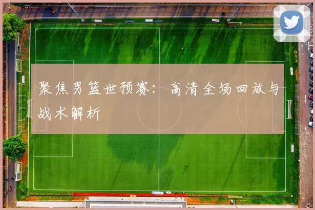聚焦男篮世预赛:高清全场回放与战术解析