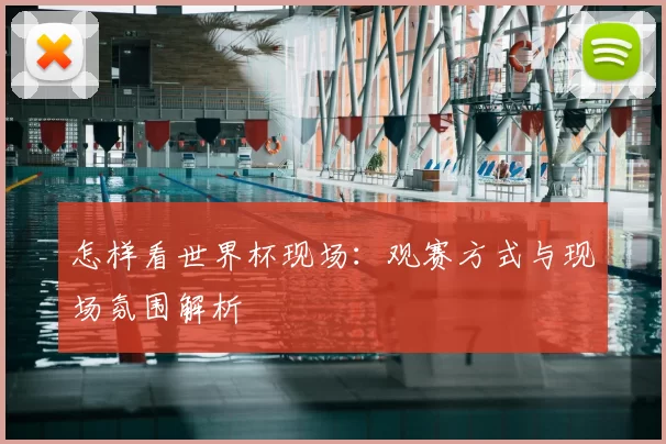 怎样看世界杯现场:观赛方式与现场氛围解析